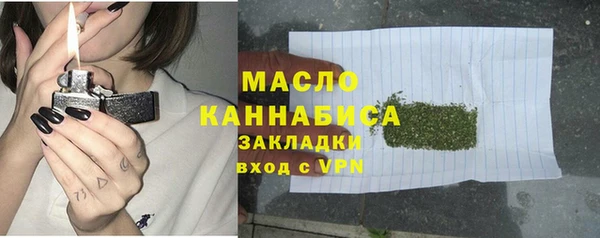 индика Арсеньев