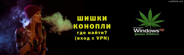 индика Арсеньев