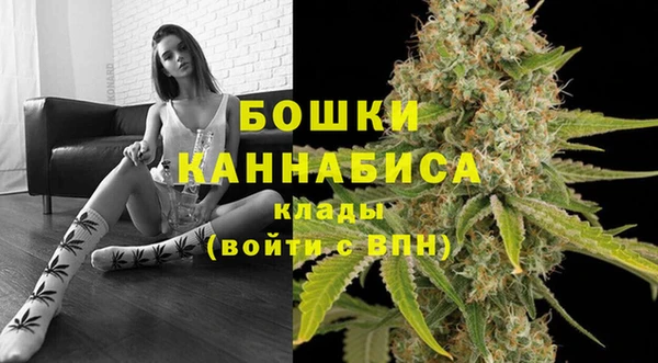 индика Арсеньев