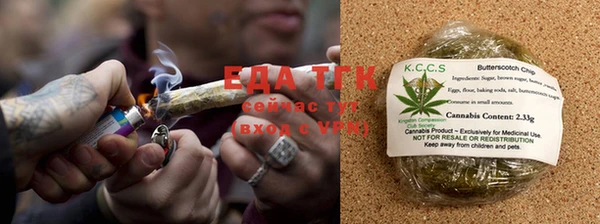 индика Арсеньев